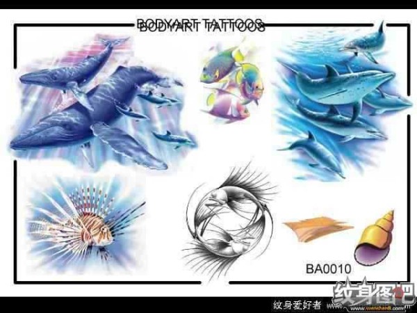 经典纹身手稿26