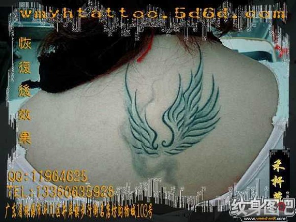 珠海禾杆草纹身一小部分作品