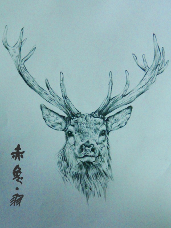 四川泸州赤兔刺青优秀作品集