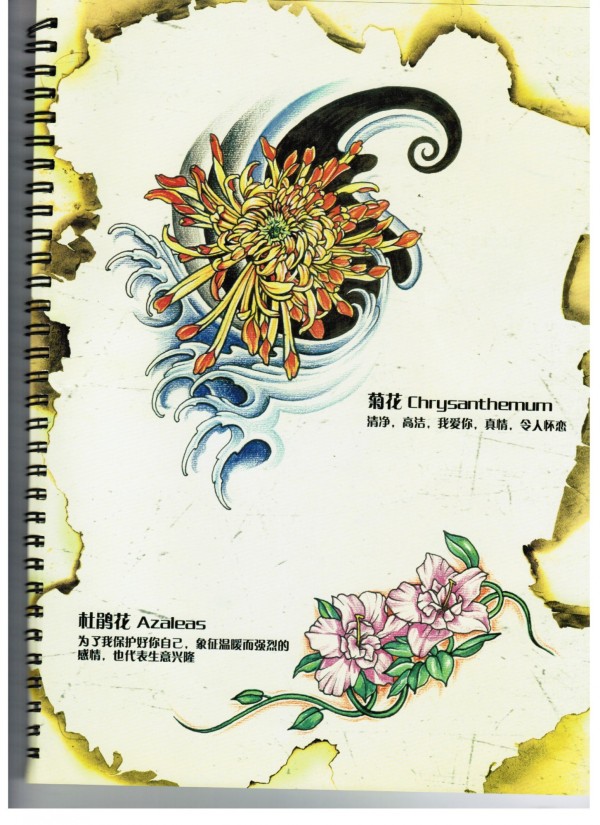 《花语》几百种花的名字和手稿以及意义