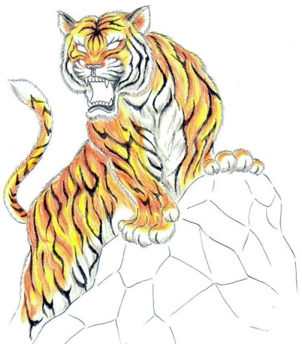 Cats tattoo 猫科动物纹身手稿