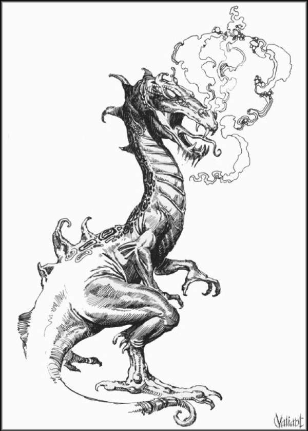 Dragons tattoo 西方龙纹身手稿