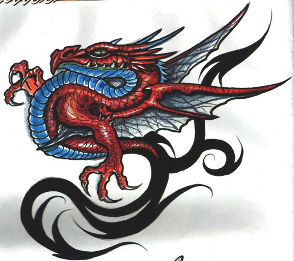 Dragons tattoo 西方龙纹身手稿
