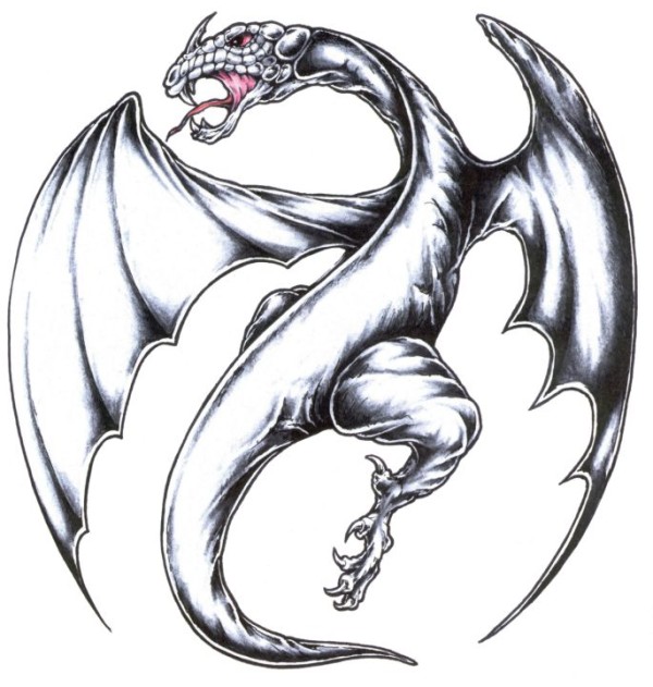 Dragons tattoo 西方龙纹身手稿