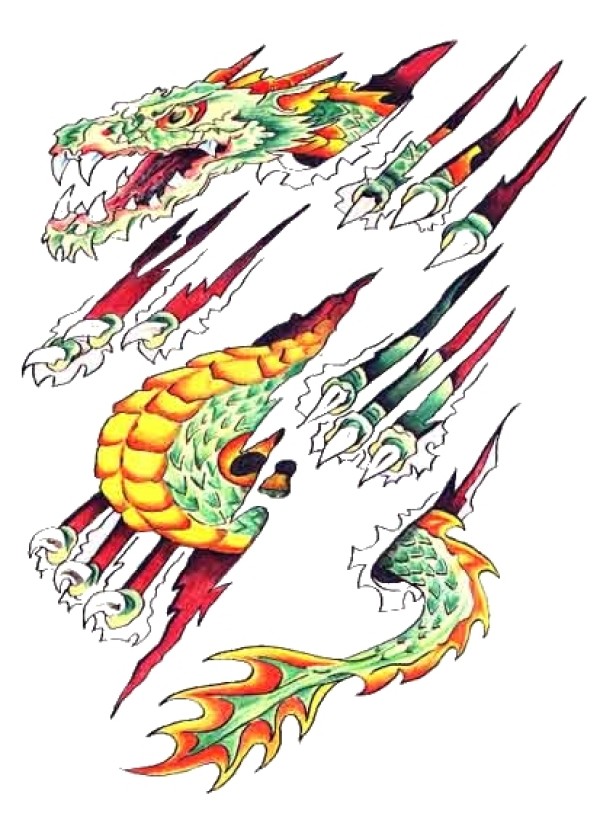 Dragons tattoo 西方龙纹身手稿