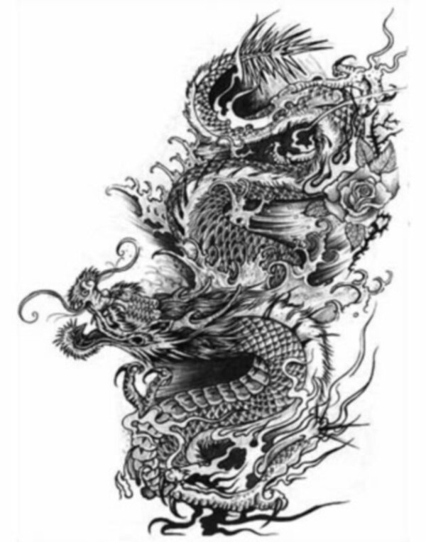Dragons tattoo 西方龙纹身手稿