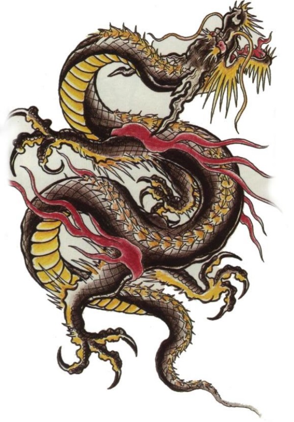 Dragons tattoo 西方龙纹身手稿