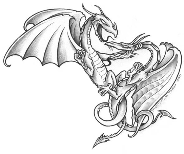 Dragons tattoo 西方龙纹身手稿