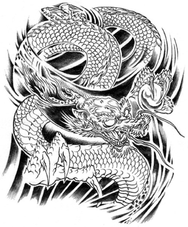 Dragons tattoo 西方龙纹身手稿