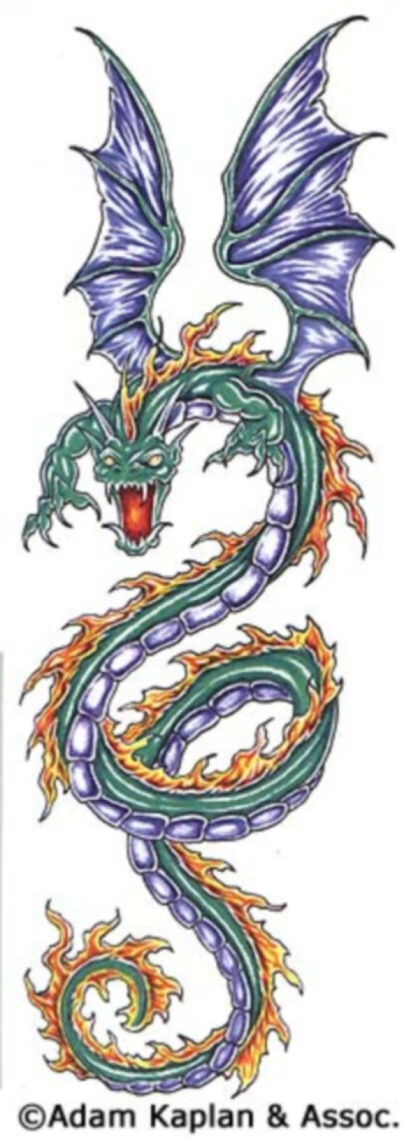 Dragons tattoo 西方龙纹身手稿
