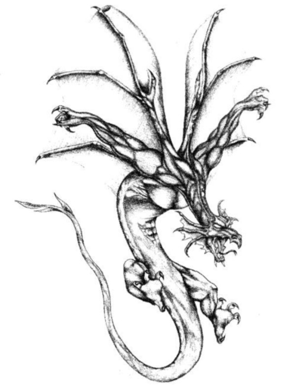 Dragons tattoo 西方龙纹身手稿