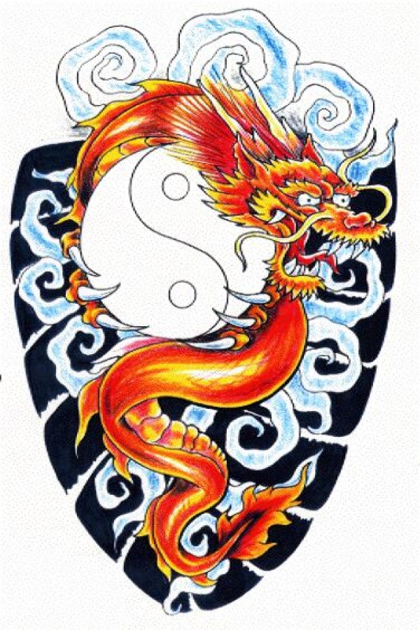 Dragons tattoo 西方龙纹身手稿
