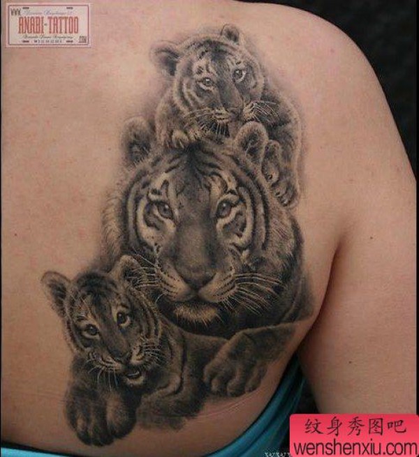 后背上一张老虎家族纹身作品