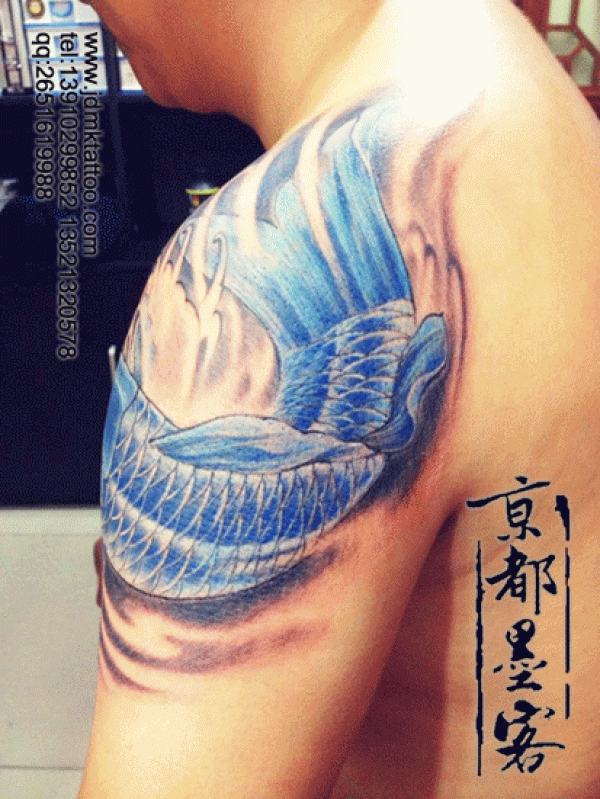 京都墨客纹身作品 大臂彩色鱼纹身