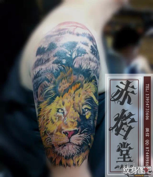 狮子纹身图案 纹身覆盖 大臂纹身