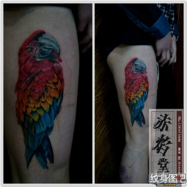 花样另类的腿部纹身图案