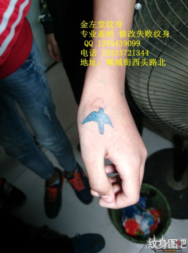 小燕子纹身 安阳水冶纹身金左堂纹身工作室 盖疤纹身 修改纹身 153 3372 1344