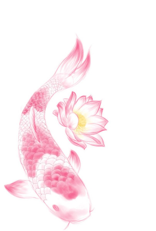 鲤鱼戏莲花纹身手稿