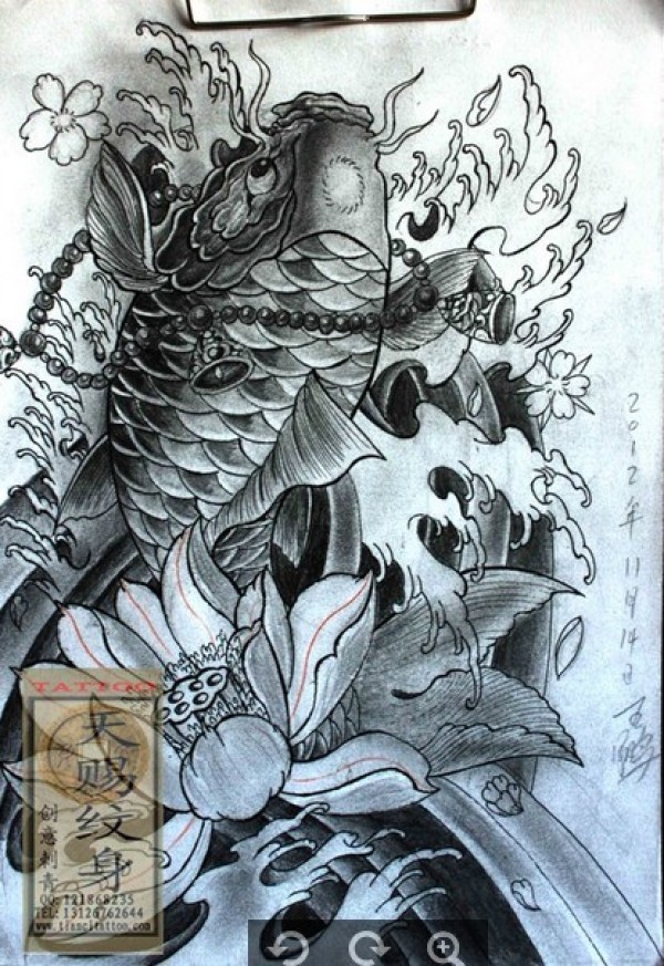鲤鱼手稿