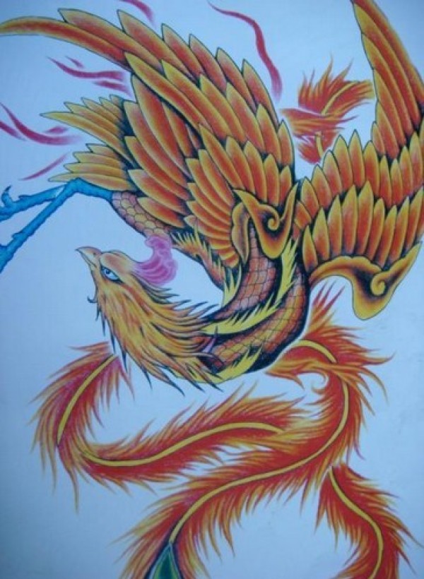 神鸟火凤凰手稿