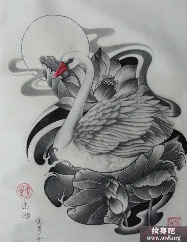 天鹅荷花刺青手稿图案