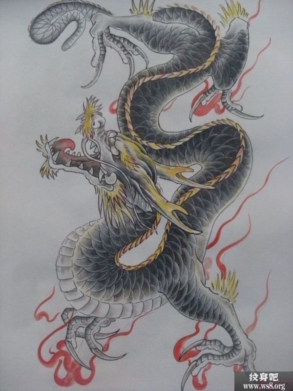 彩色的龙刺青手稿图案