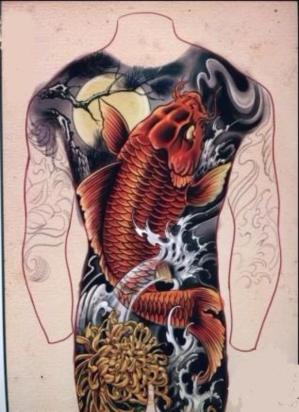 满背鲤鱼手稿
