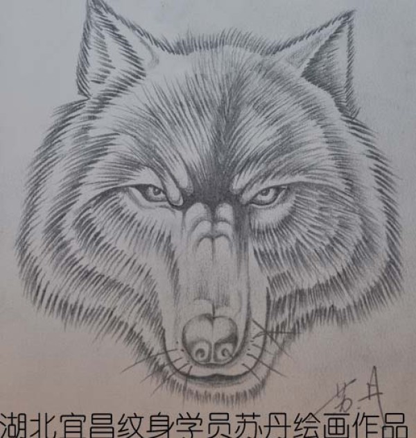 狼头