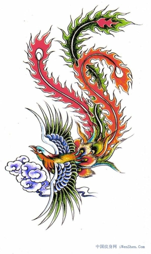 凤凰纹身手稿