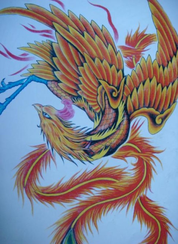 凤凰纹身手稿