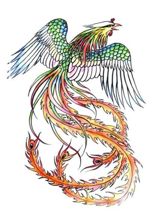 凤凰纹身手稿