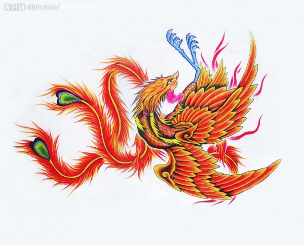 凤凰纹身手稿