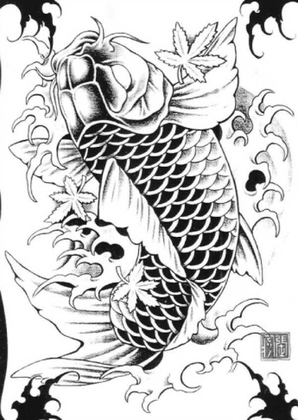 鲤鱼手稿