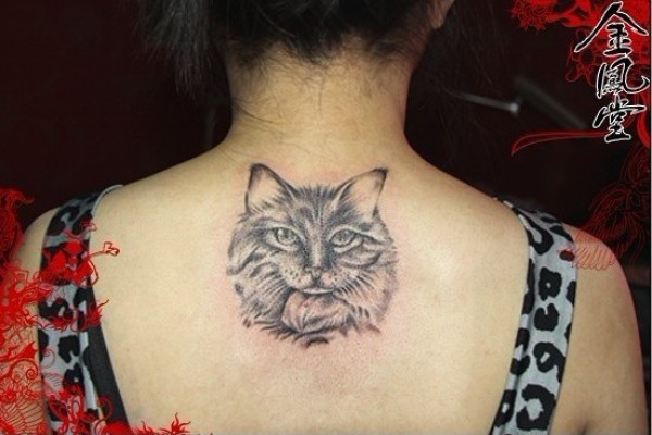 后背猫纹身图