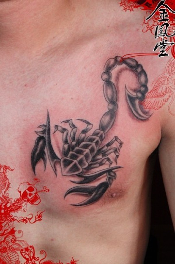 蝎子纹身图片