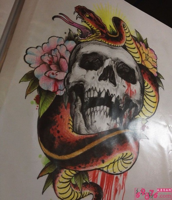 蛇缠骷髅纹身手稿