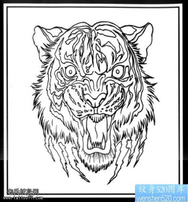 一款老虎头纹身手稿图案