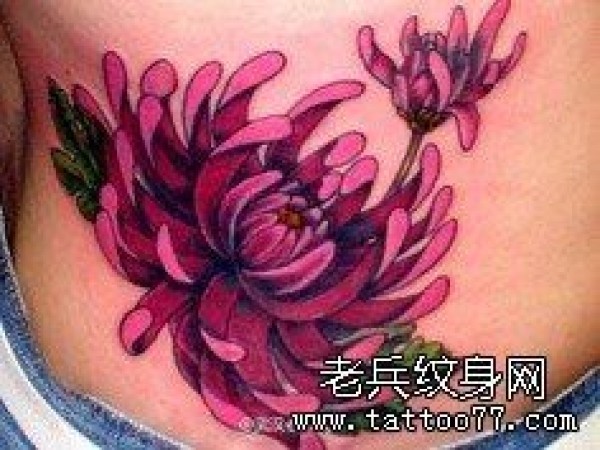 一组菊花纹身手稿图案