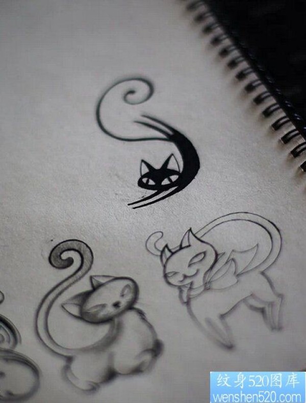 一款猫咪手稿纹身图案