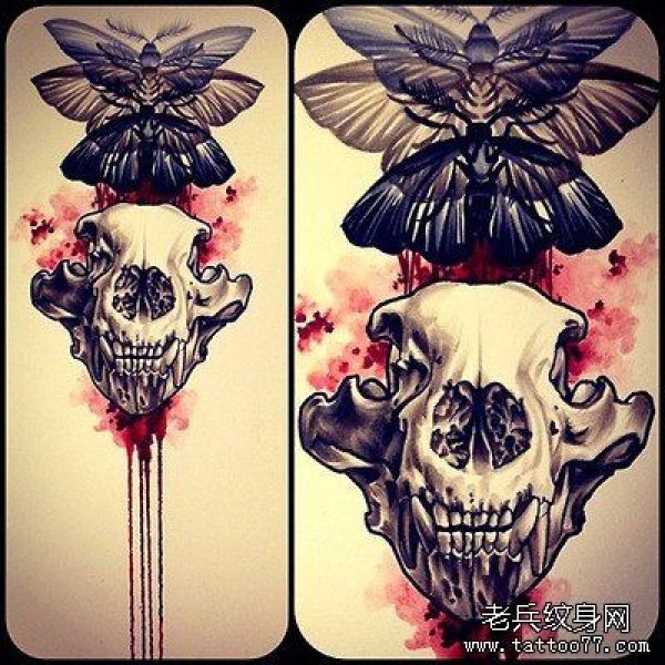 骷髅蛾纹身手稿图案