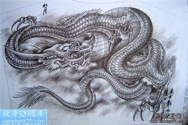 披肩龙手稿（49）