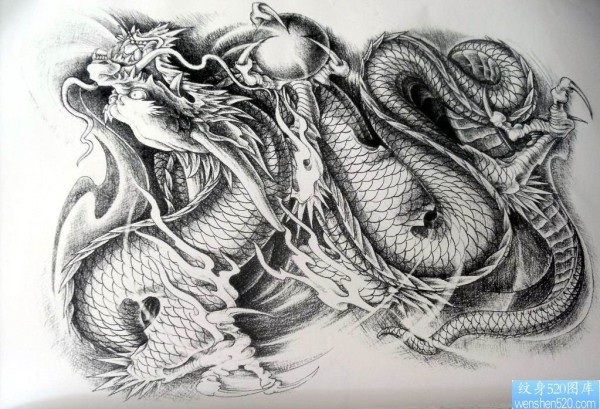一幅龙纹身手稿作品
