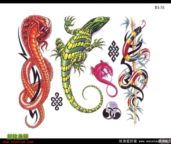 一款恐怖的蛇纹身手稿四素材