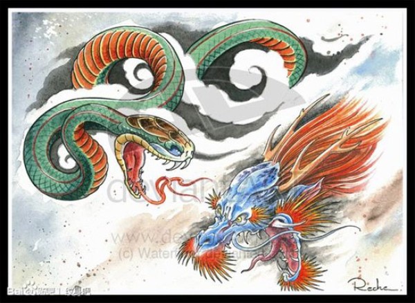 潮流很帅的一款蛇与龙纹身手稿
