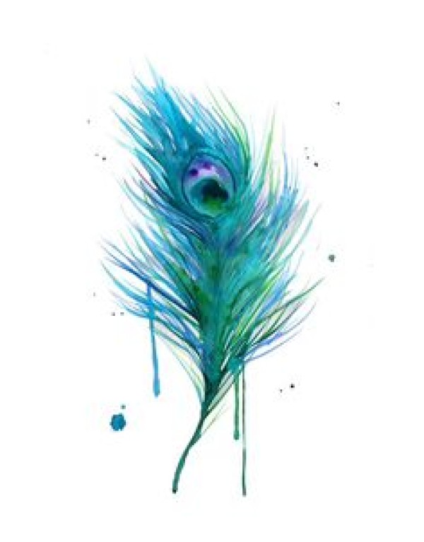 分享一款彩色羽毛纹身手稿