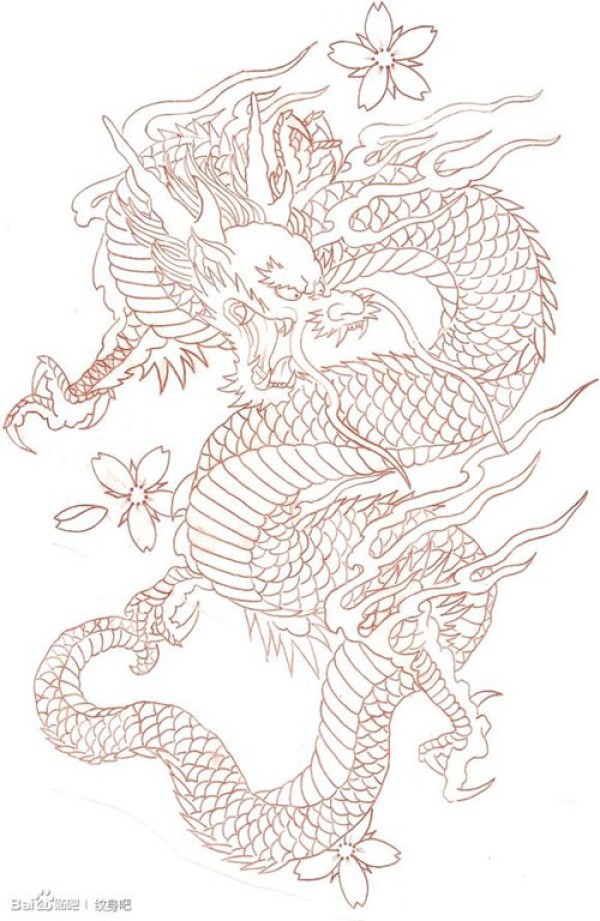 霸气经典的一款线条龙纹身手稿