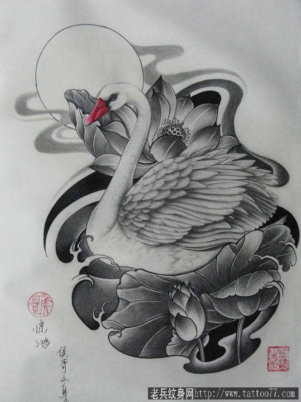 一款黑白素描手稿白天鹅莲花纹身图案图片