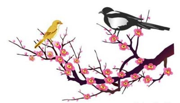 一款t适合MM纹身的梅花纹身手稿图案图片（tatt