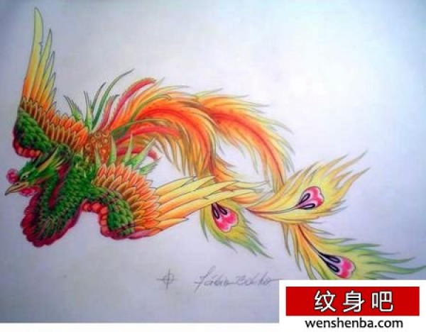 多彩凤凰纹身手稿
