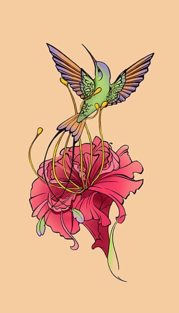 蜂鸟花儿手稿